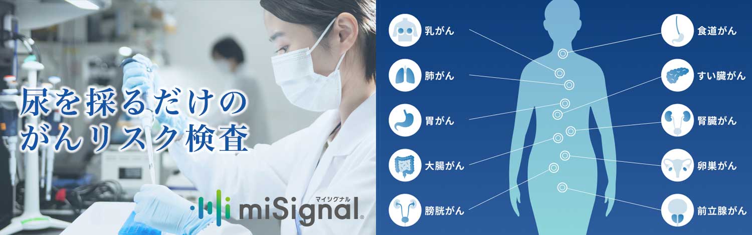 メインイメージ