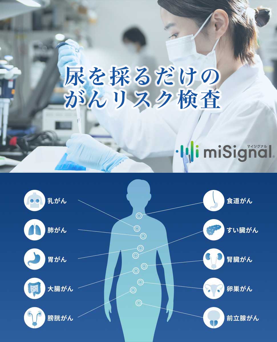 メインイメージ