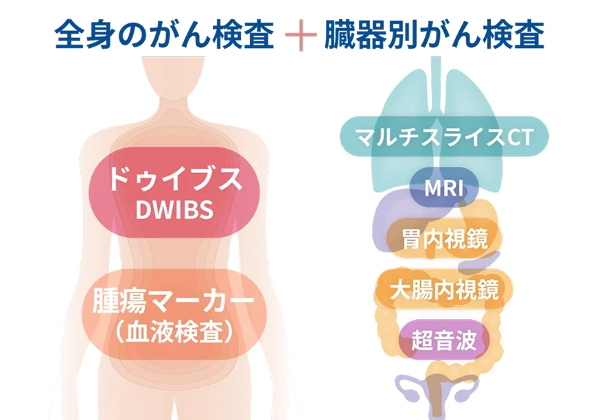 全身のがん検査（DWIBS(ドゥイブス)）＋臓器別がん検査